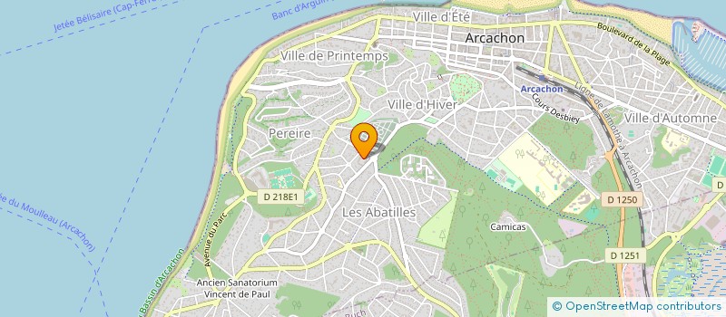 localisation de l'entreprise MADAME EKATERINA SOLODOVNIKOVA  ARCACHON