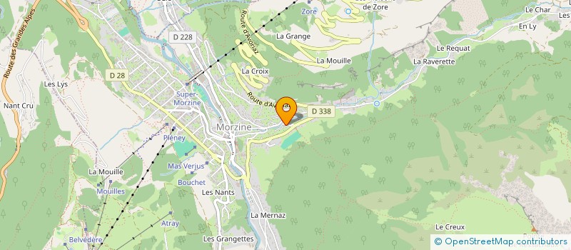 localisation de l'entreprise MADAME ELAINE HOLMES  MORZINE