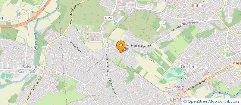 localisation de l'entreprise MADAME ELAINE MC MURRAY  TOURNEFEUILLE