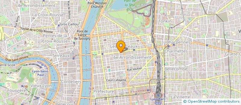 localisation de l'entreprise MADAME ELENA-ALINA TOROSKAI  LYON