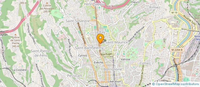 localisation de l'entreprise MADAME ELENA AVASILICHIOAIE à NICE
