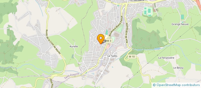 localisation de l'entreprise MADAME ELENA BAYDALA  ROCHE-LA-MOLIERE