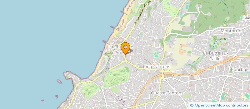 localisation de l'entreprise MADAME ELENA BOLDRINI  ANGLET