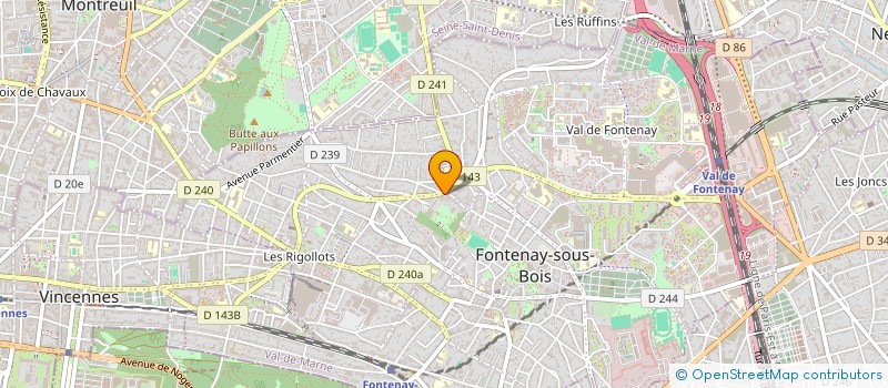localisation de l'entreprise MADAME ELENA CALINOIU  FONTENAY-SOUS-BOIS