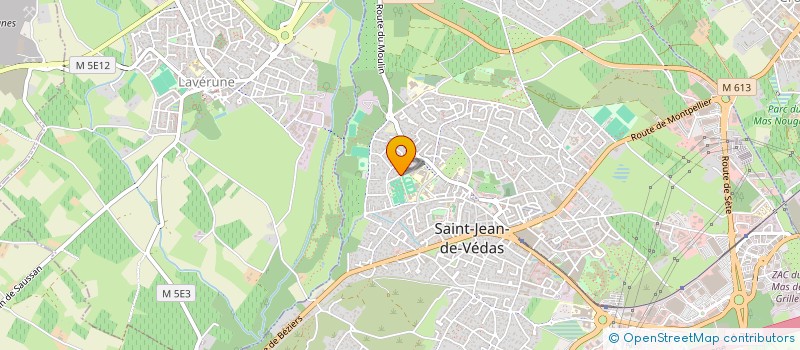 localisation de l'entreprise MADAME ELENA CRISTEA  SAINT-JEAN-DE-VEDAS