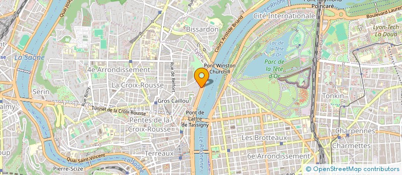 localisation de l'entreprise MADAME ELENA ESCALADA GOICOECHEA à LYON