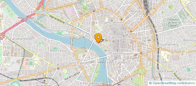 localisation de l'entreprise MADAME ELENA FOMINA à TOULOUSE