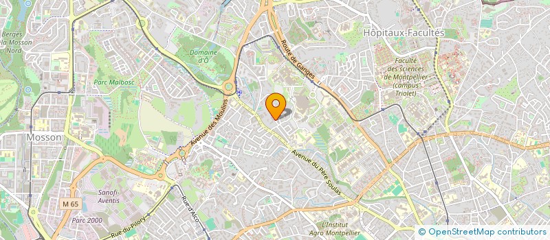 localisation de l'entreprise MADAME ELENA GOINEAU à MONTPELLIER