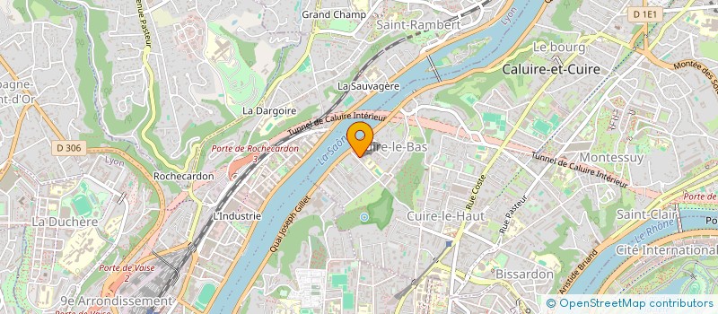 localisation de l'entreprise MADAME ELENA GRIGORIEVA à CALUIRE-ET-CUIRE