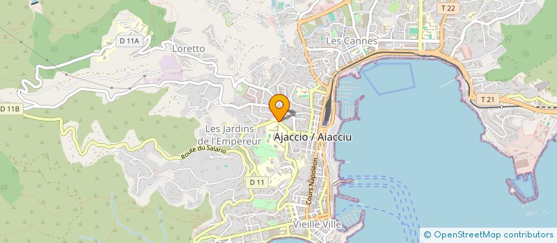 localisation de l'entreprise MADAME ELENA IAKOVLEVA à AJACCIO