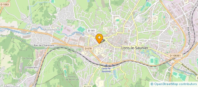 localisation de l'entreprise MADAME ELENA ION à LONS-LE-SAUNIER