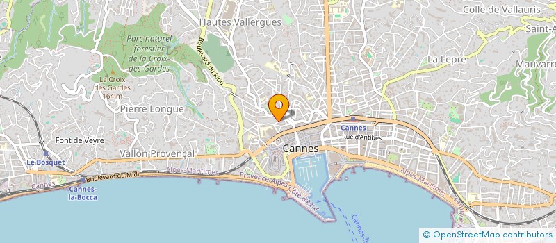 localisation de l'entreprise MADAME ELENA KOZYREVA à CANNES