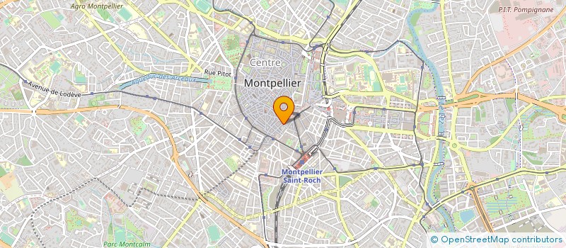 localisation de l'entreprise MADAME ELENA LEON à MONTPELLIER