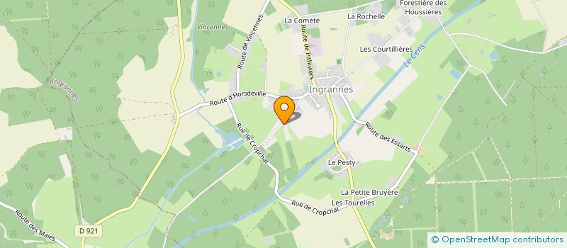 localisation de l'entreprise MADAME ELENA LOPES à SULLY-LA-CHAPELLE