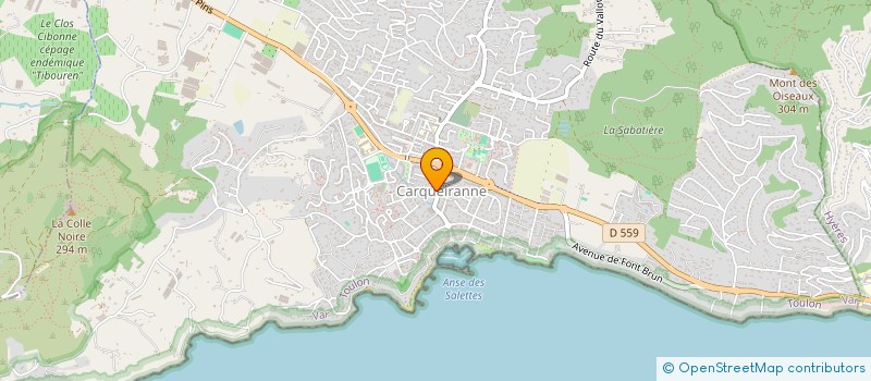 localisation de l'entreprise MADAME ELENA MECHKOVA  CARQUEIRANNE