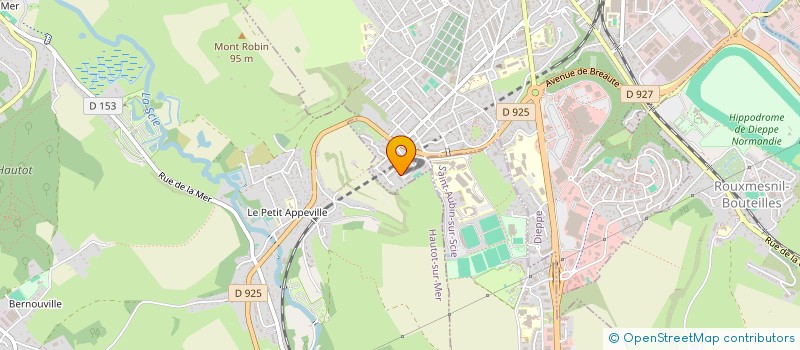 localisation de l'entreprise MADAME ELENA MOLDOVEANU  DIEPPE