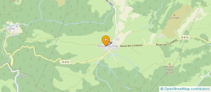 localisation de l'entreprise MADAME ELENA NECHAEVA  MOUTHOUMET