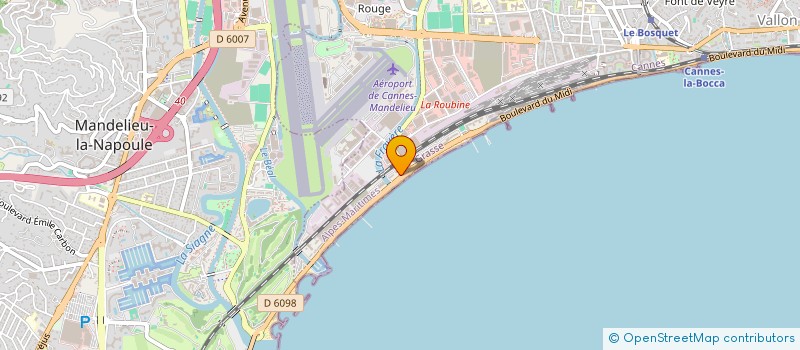 localisation de l'entreprise MADAME ELENA NITU  CANNES