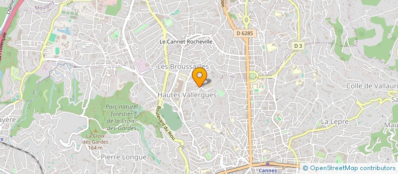 localisation de l'entreprise MADAME ELENA RONCAGLIO à CANNES