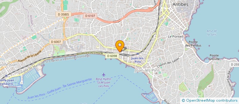 localisation de l'entreprise MADAME ELENA SALYGUINA  ANTIBES