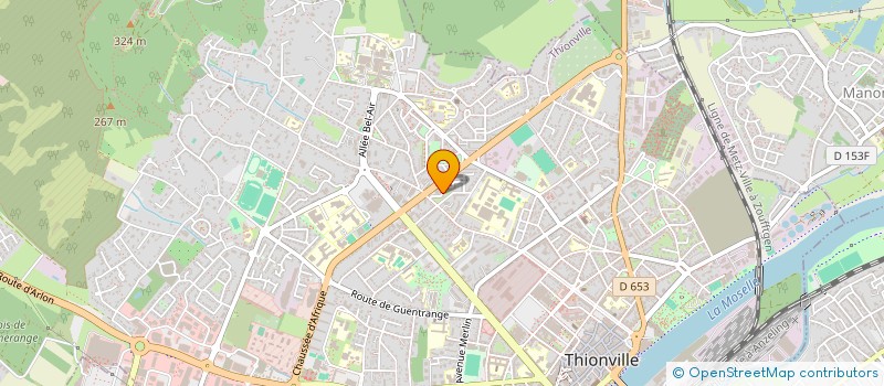 localisation de l'entreprise MADAME ELENA SAZONOVA  THIONVILLE