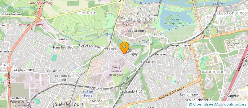 localisation de l'entreprise MADAME ELENA SELDAEVA  JOUE-LES-TOURS