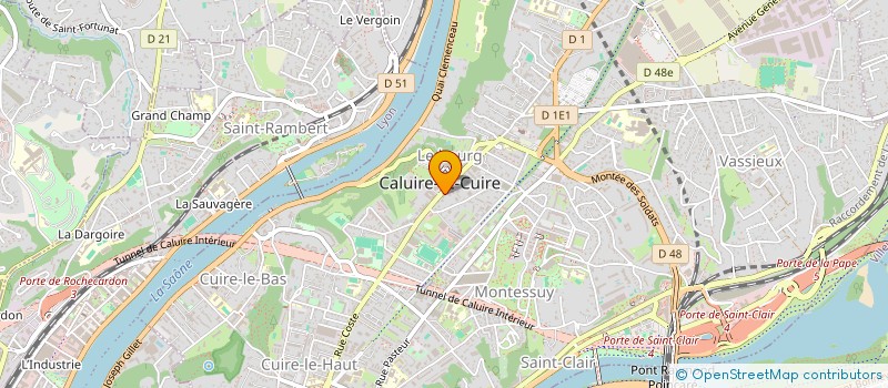 localisation de l'entreprise MADAME ELENA SHKURINA à CALUIRE-ET-CUIRE