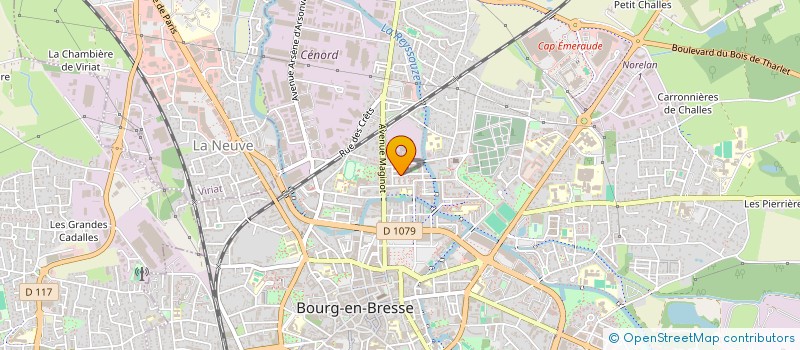 localisation de l'entreprise MADAME ELENA TOKAREVA  BOURG-EN-BRESSE