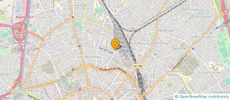 localisation de l'entreprise MADAME ELENA UZDINA à TOULOUSE