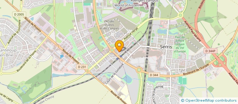 localisation de l'entreprise MADAME ELENA ZARKA  CHESSY