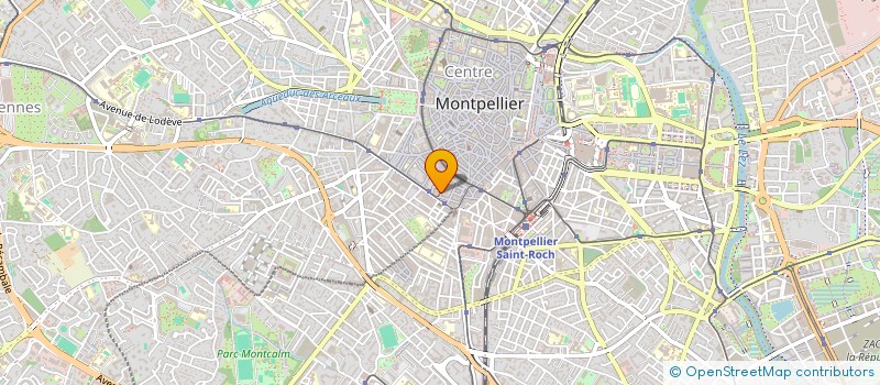 localisation de l'entreprise MADAME ELENA ZIMINA à MONTPELLIER