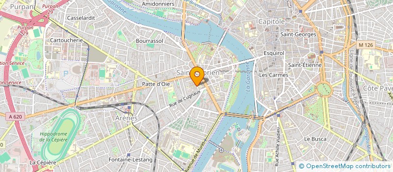 localisation de l'entreprise MADAME ELEONORE CHERON  TOULOUSE