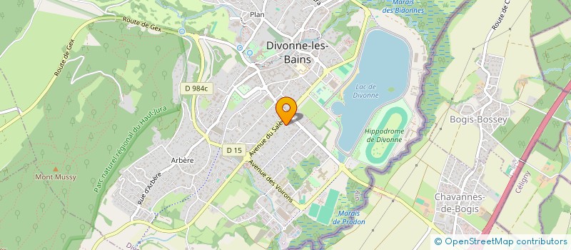 localisation de l'entreprise MADAME ELEONORE DESMARRE  DIVONNE-LES-BAINS