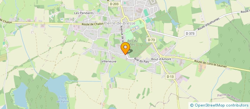 localisation de l'entreprise MADAME ELEONORE HENRI  PIERRE-DE-BRESSE