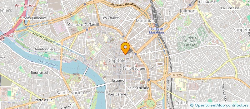 localisation de l'entreprise MADAME ELFRIED DUPUY  TOULOUSE