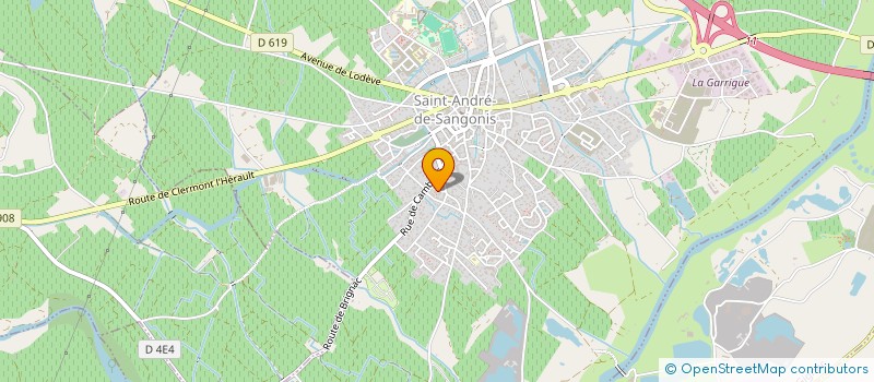 localisation de l'entreprise MADAME ELIANE BOUISSON  SAINT-ANDRE-DE-SANGONIS