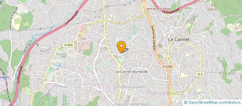 localisation de l'entreprise MADAME ELIANE BRAGHINI à LE CANNET