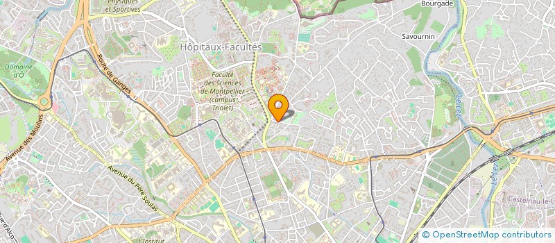localisation de l'entreprise MADAME ELIANE COMASTRI à MONTPELLIER