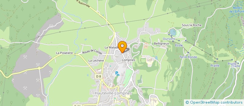localisation de l'entreprise MADAME ELIANE DUBIEZ à PLATEAU D'HAUTEVILLE