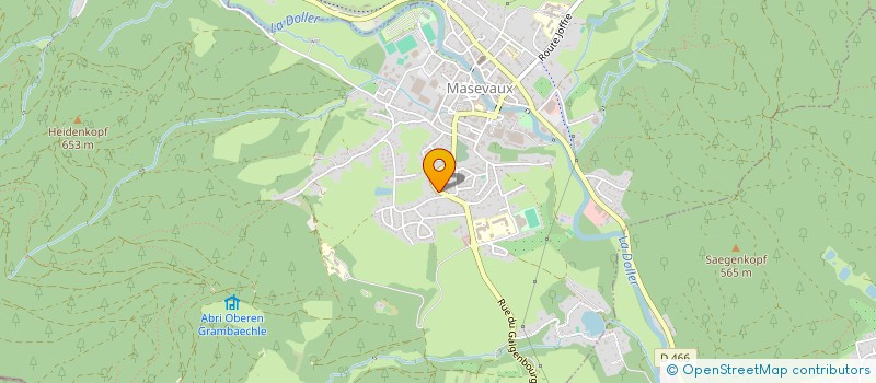 localisation de l'entreprise MADAME ELIANE FARNY  MASEVAUX-NIEDERBRUCK