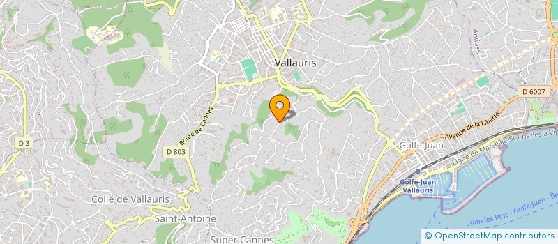 localisation de l'entreprise MADAME ELIANE HOOFT à VALLAURIS