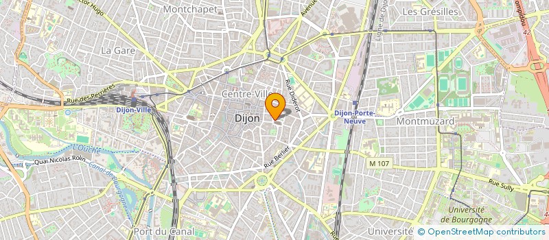 localisation de l'entreprise MADAME ELIANE INTROVIGNE à DIJON