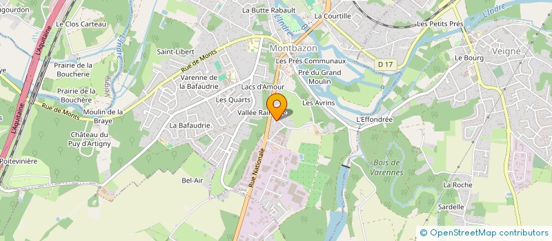 localisation de l'entreprise MADAME ELIANE ROTTIER  MONTBAZON