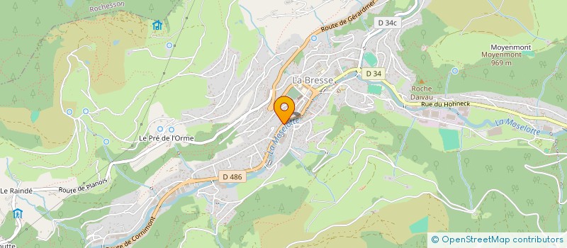 localisation de l'entreprise MADAME ELIETTE FOUCAL à LA BRESSE