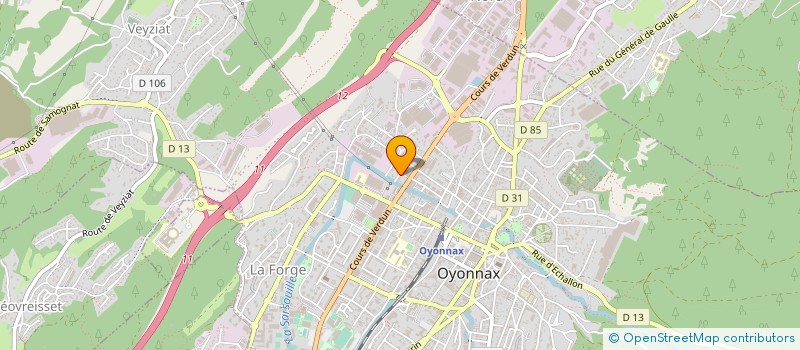 localisation de l'entreprise MADAME ELIF BEKAR à OYONNAX