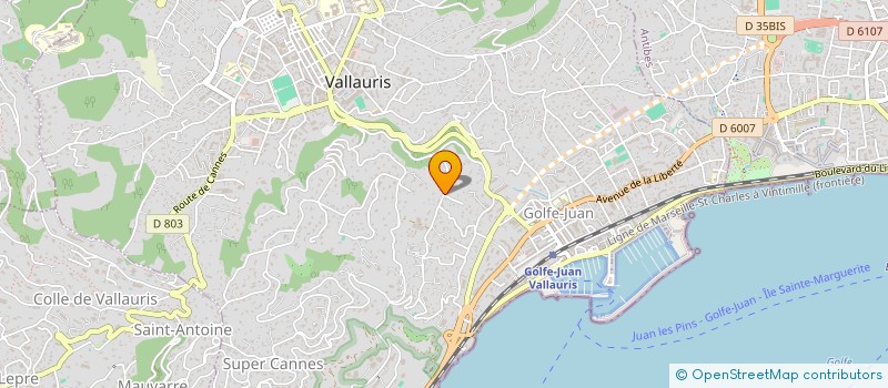 localisation de l'entreprise MADAME ELIF KAYI  VALLAURIS