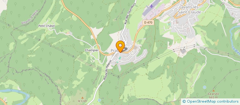 localisation de l'entreprise MADAME ELIFE OZEL  LAVANS-LES-SAINT-CLAUDE