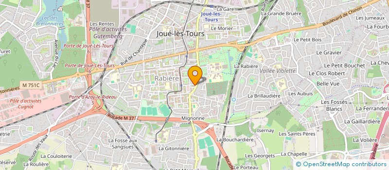 localisation de l'entreprise MADAME ELINA DURDIEVA  JOUE-LES-TOURS