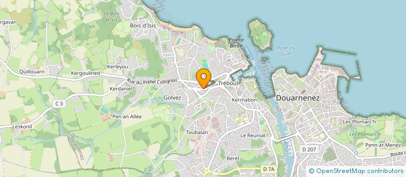 localisation de l'entreprise MADAME ELINA LE MOIGNE  DOUARNENEZ