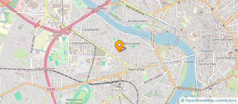 localisation de l'entreprise MADAME ELINA LEVASSEUR  TOULOUSE